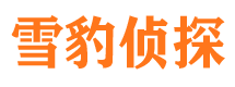 居巢市私家侦探